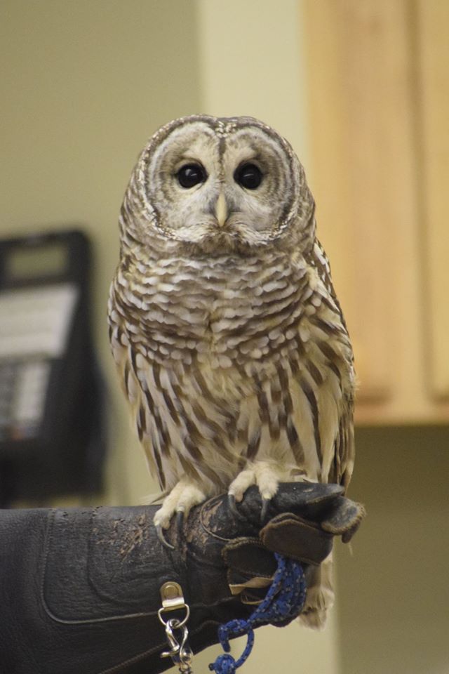 10507075_10152798598603654_2818820181195715082_o